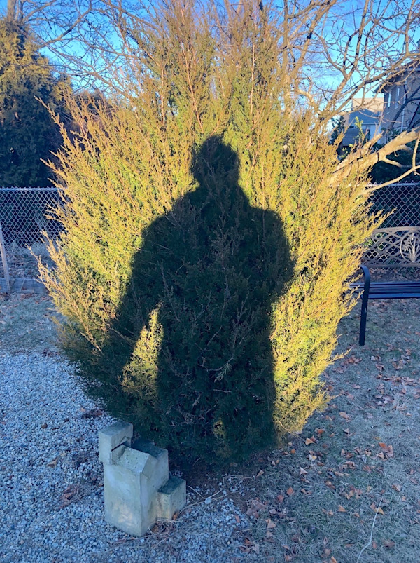 Shadow Self-Portrait / Monumental by Dan Borden, Image 1.