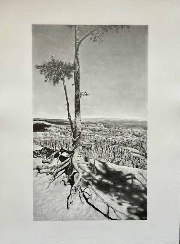 Survival by DJ Kolodziej Stawasz, Image 13.