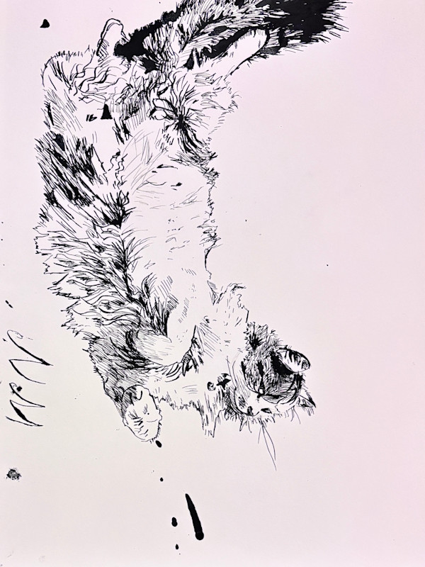 Lando 1 by Nicholas Moffett, Image 1.