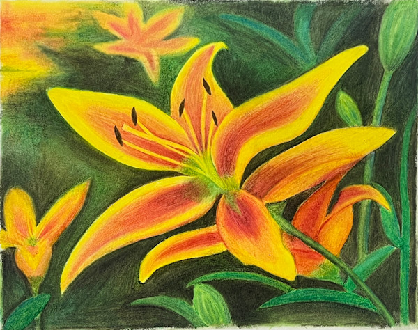 The Sunlit Lilies by Morgan Pequeneza, Image 1.