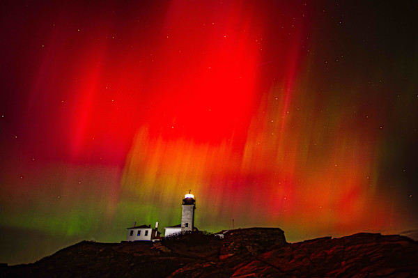 Beavertail Aurora by David Zapatka