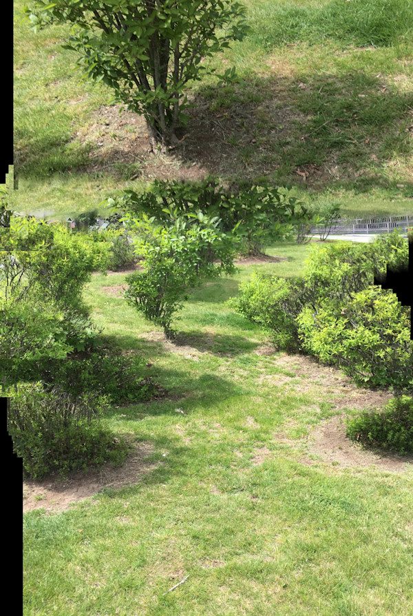 Perception of Landscape #219 by Dan Borden