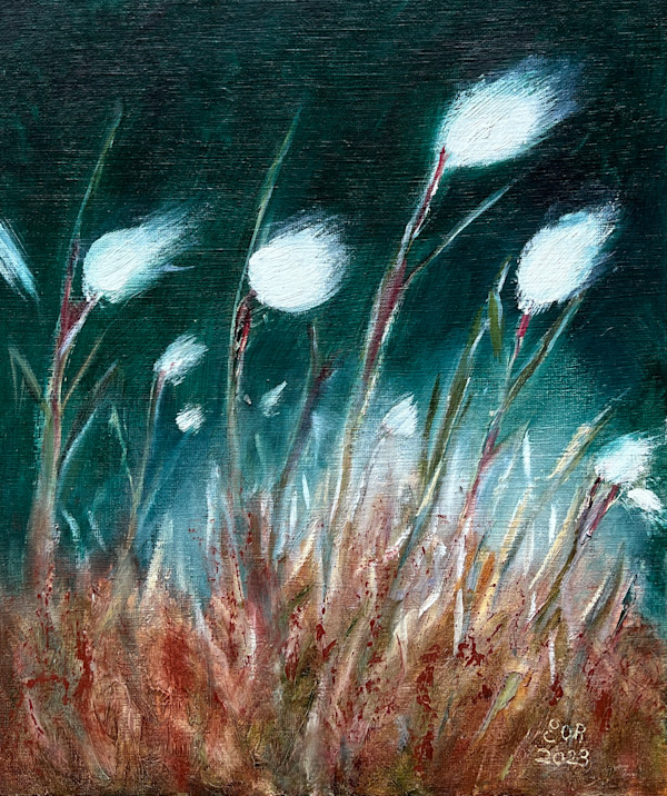 Bog Cotton by Eithne O'Riordan