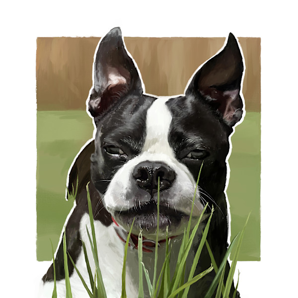 Bosley Biscuitbutt by Sam Larson