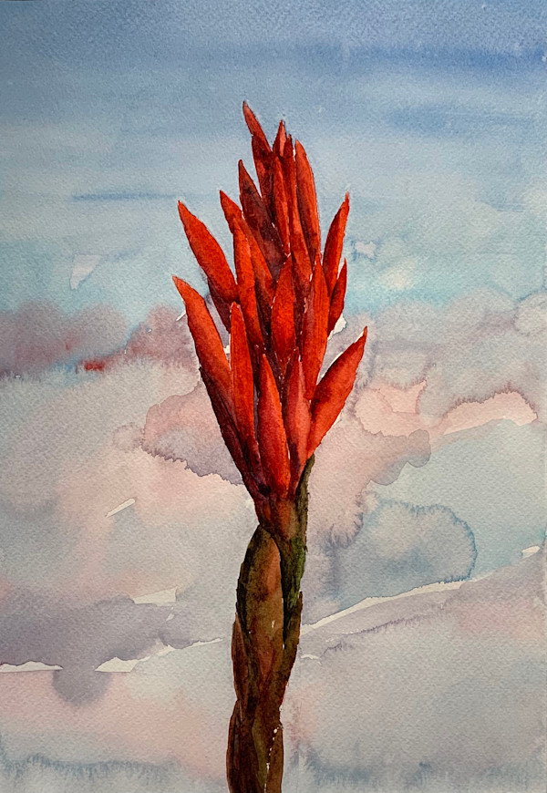 Canna Sky, Kate Kester by Betsy Jacaruso Gallery