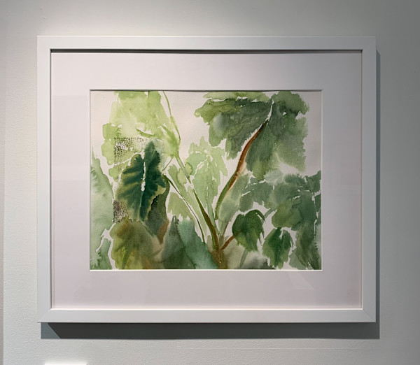 Cocoyam, Kate Kester by Betsy Jacaruso Gallery