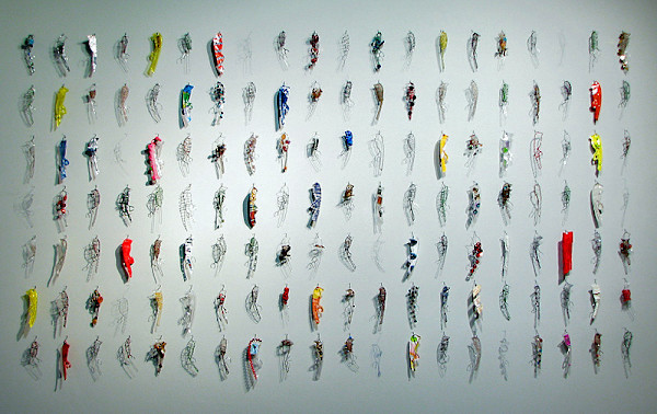 Variations Within a Species by Valerie Mann