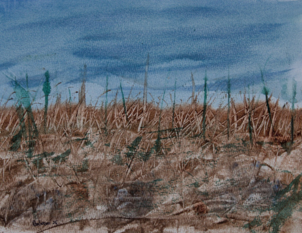 Stalks by Gregory Anderson