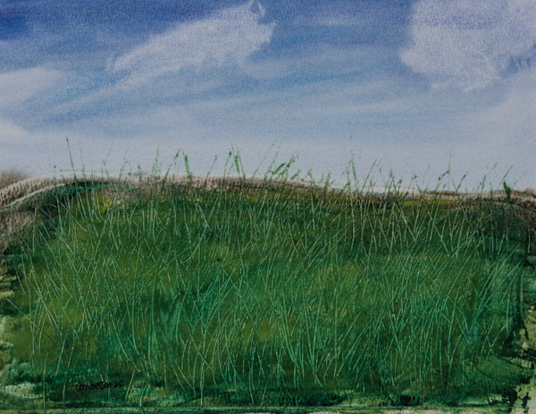Grassy Hill by Gregory Anderson