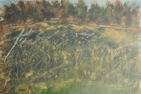 Field Debris by Gregory Anderson