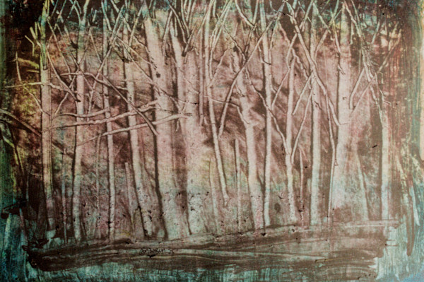 Night Woods by Gregory Anderson