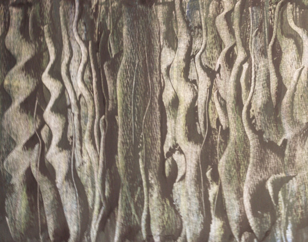 Brown Twirls by Gregory Anderson