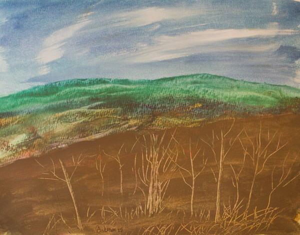 My View by Gregory Anderson