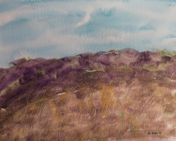 The Foothills by Gregory Anderson