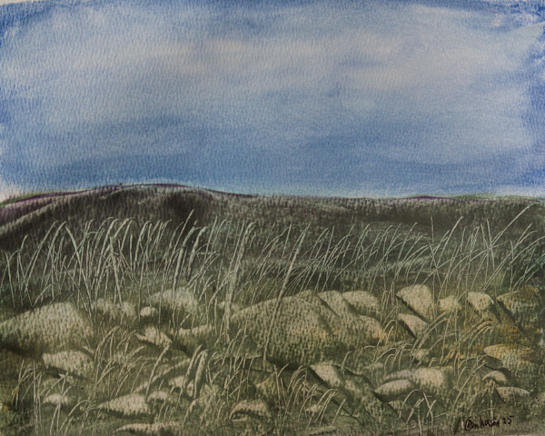 Rough Terrain by Gregory Anderson