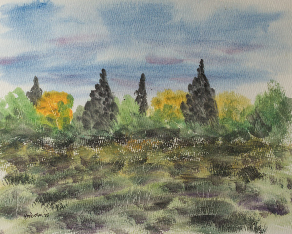 Forest Edge by Gregory Anderson