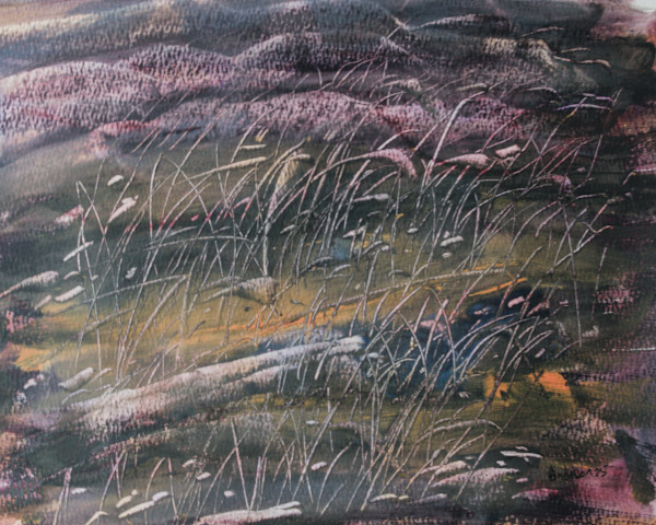 Muck by Gregory Anderson