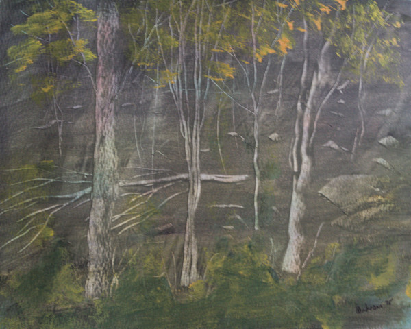 Fallen Tree by Gregory Anderson