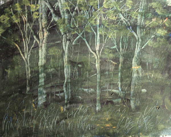 Behind The Barn by Gregory Anderson