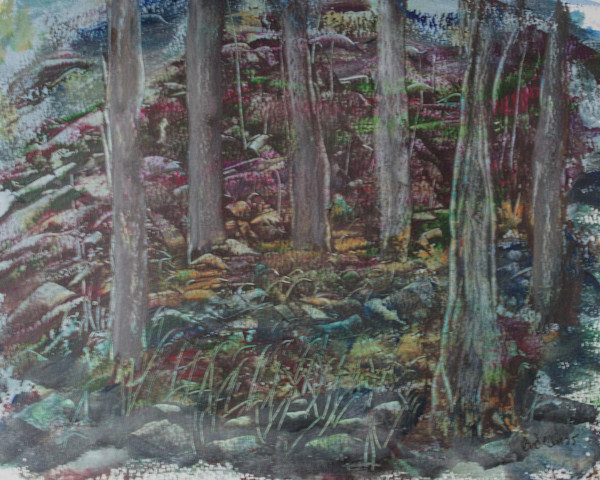 In The Forest by Gregory Anderson