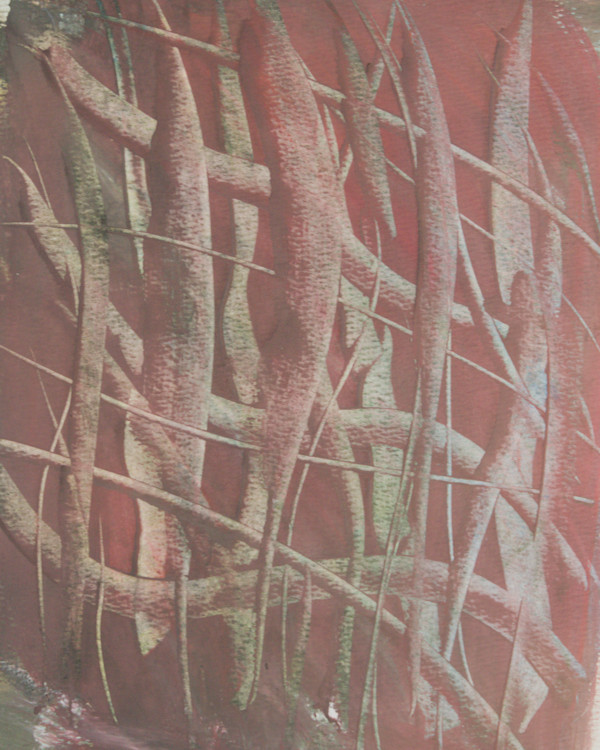 Tangle by Gregory Anderson