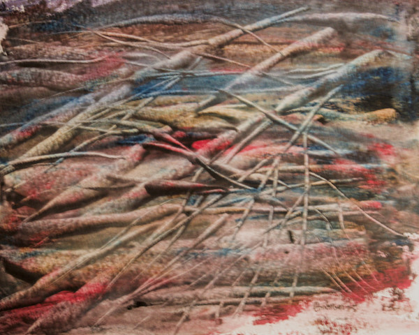 Branches by Gregory Anderson