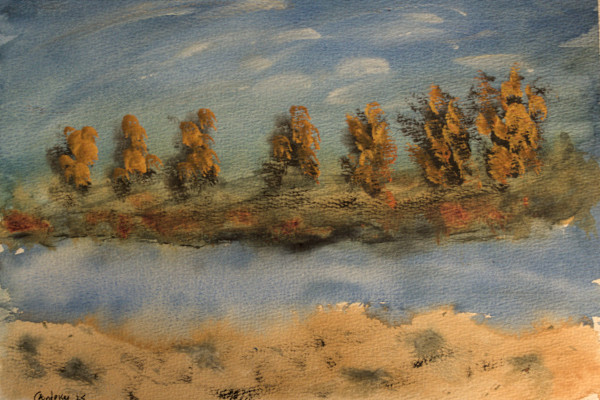 My Oliver Pyle by Gregory Anderson