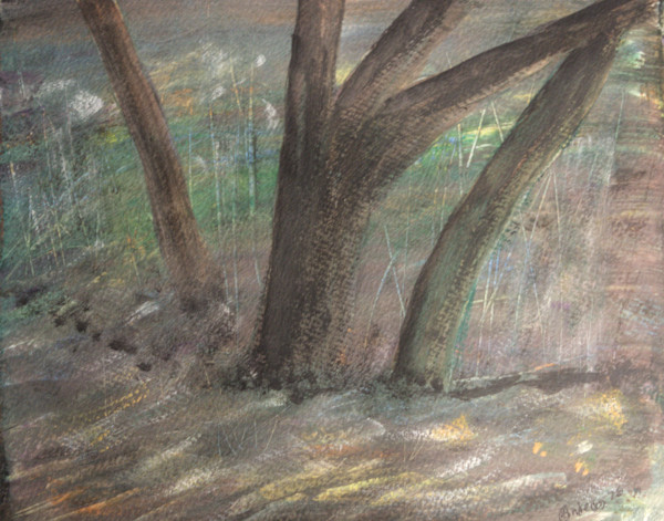 Country Trail by Gregory Anderson