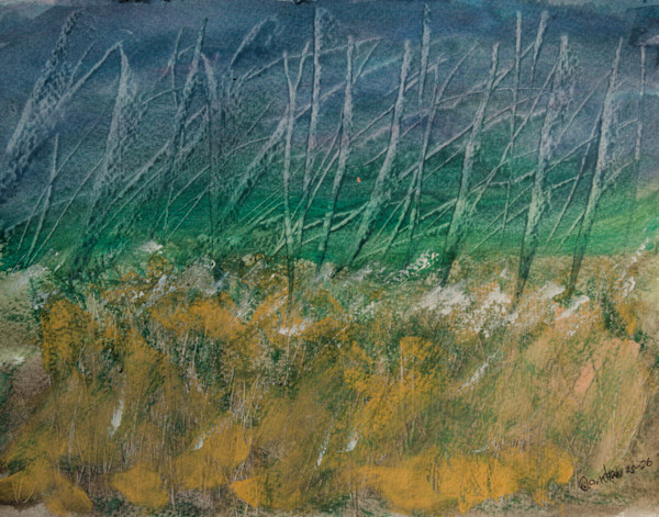 Field Grass by Gregory Anderson