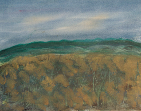 Nice Sky by Gregory Anderson