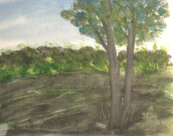 Fresh Air by Gregory Anderson