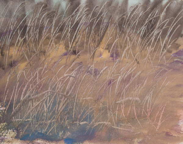 Boka by Gregory Anderson