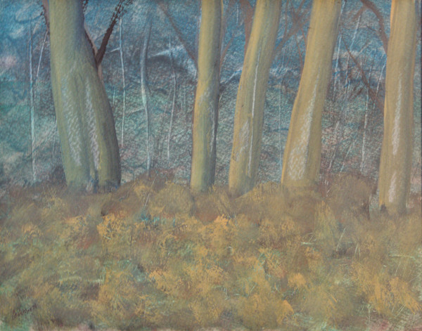 Deep In The Maine Woods by Gregory Anderson