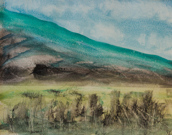 The Slope by Gregory Anderson