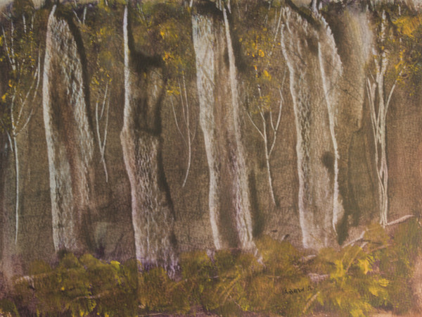 Petrified by Gregory Anderson