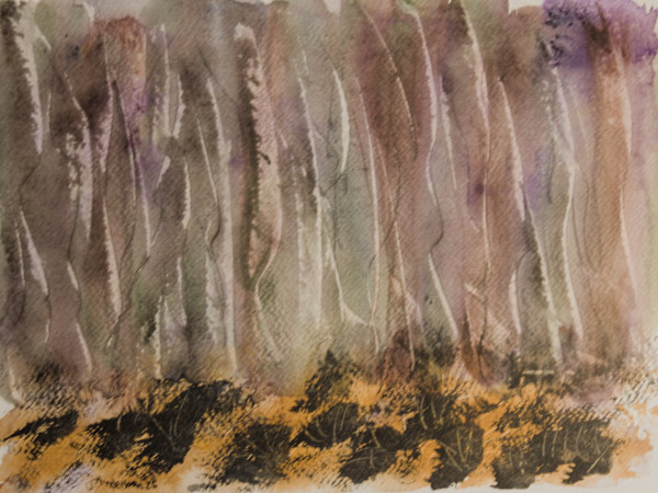 Forest Abstraction by Gregory Anderson