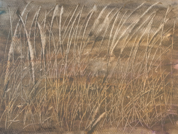 Golden Grass by Gregory Anderson, Image 1.