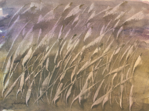 Willow by Gregory Anderson