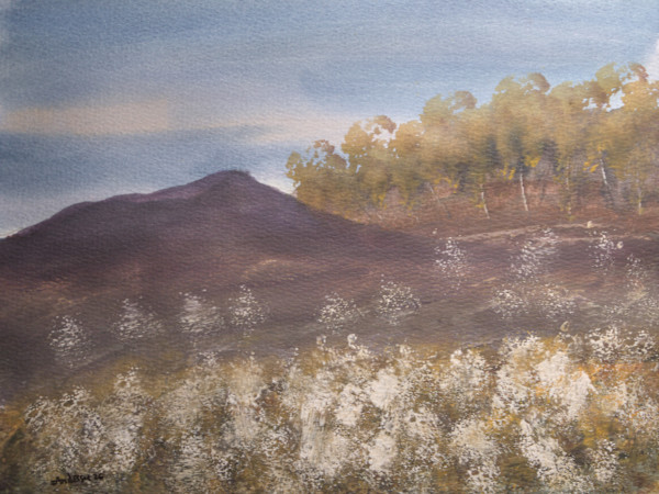 Wildflower Field by Gregory Anderson, Image 1.