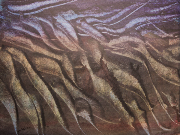 Washed Ashore by Gregory Anderson, Image 1.