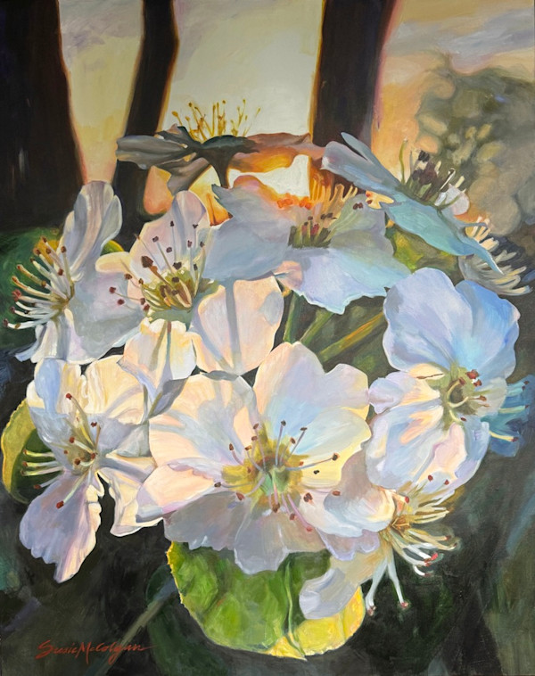 Secret Place by Susan McColgan