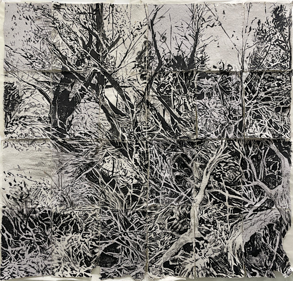 The Trees of Ucross by Hollis Hammonds