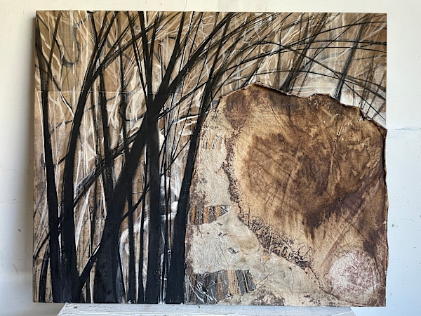 Between Winter and Spring by Hollis Hammonds