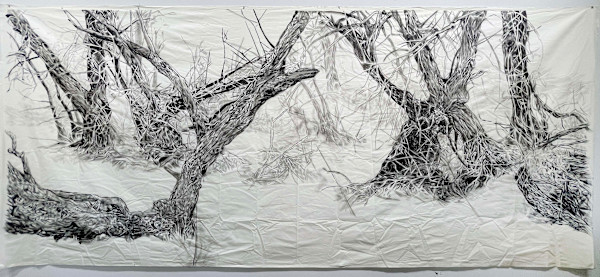 A Fragile Landscape by Hollis Hammonds