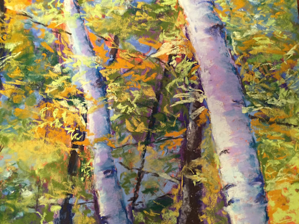 Autumn Birches by Susan E Cunniff Fine Art