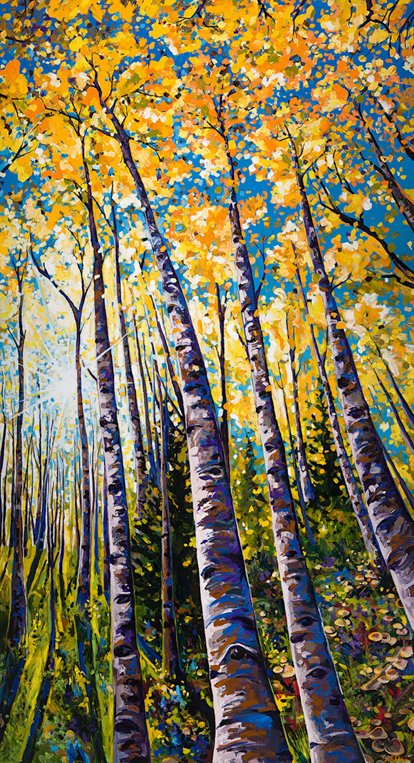 Aspen Grove by Emily Dwan, Image 1.