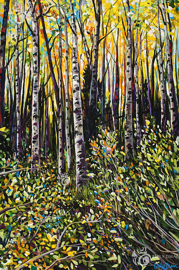 Turkey Creek Aspens by Emily Dwan, Image 1.