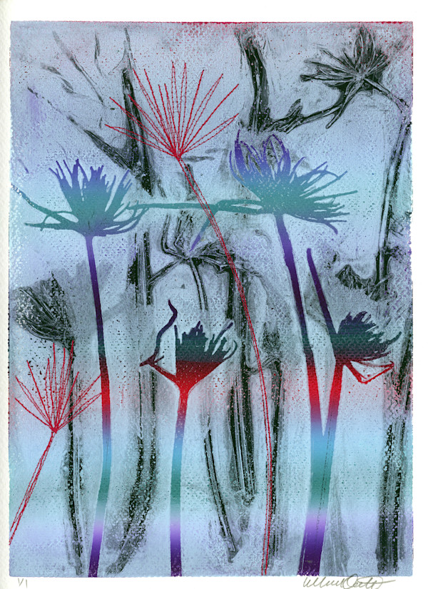 Firework Grasses 4 by Maren Oates