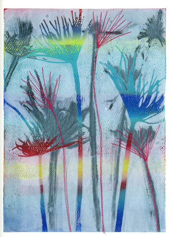 Firework Grasses 5 by Maren Oates