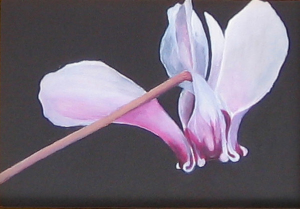 Last Bloom by Barbara Henris